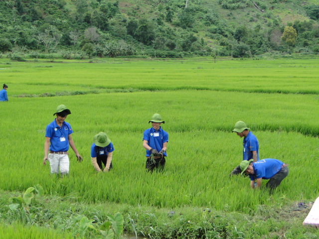 Cảm nhận về chiến dịch TNTN Mùa hè xanh tỉnh Đắk Lắk